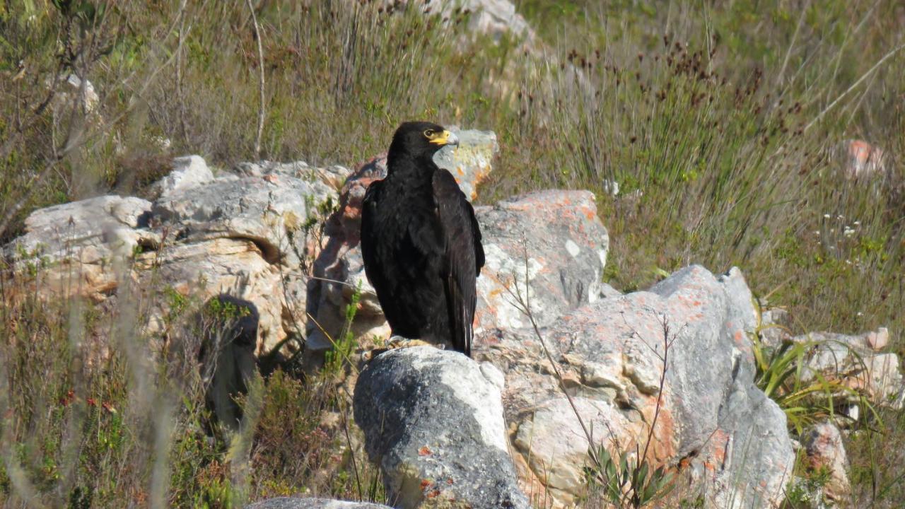 Farm 215 Private Nature Reserve Uilenkraal Εξωτερικό φωτογραφία