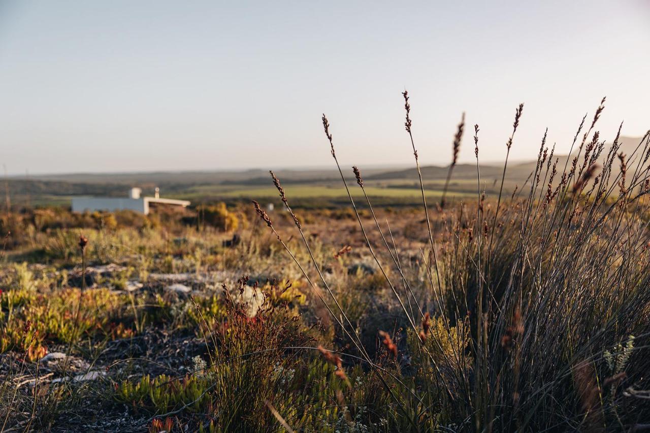 Farm 215 Private Nature Reserve Uilenkraal Εξωτερικό φωτογραφία